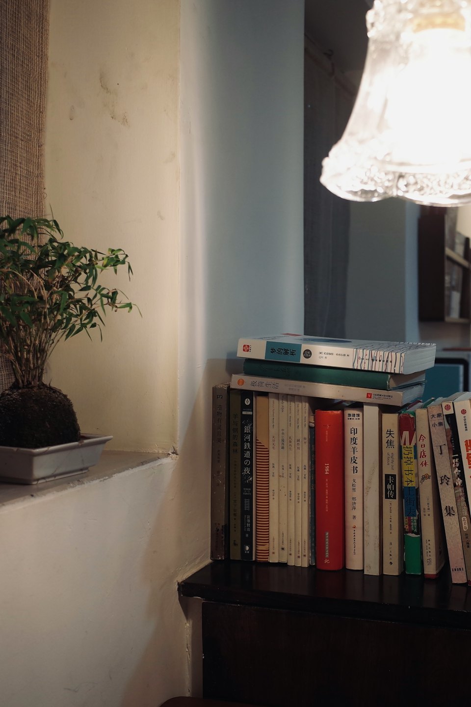 A small potted kokedama plant sits beside books on a shelf.