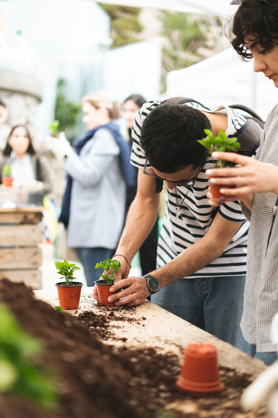 People planting small green saplings into pots at a workshop.