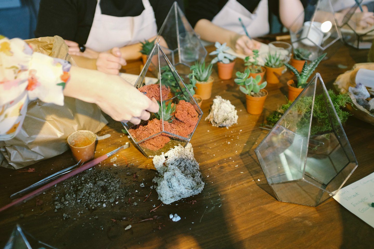 Hands arranging plants in a geometric glass terrarium.