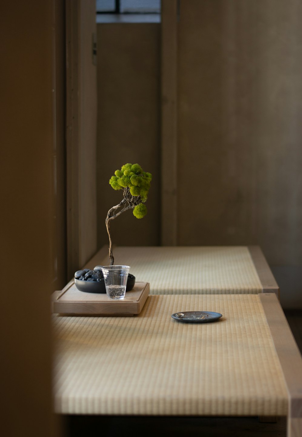 A bonsai plant, stone bowl, and glass on a tray.